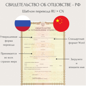 Перевод свидетельства об отцовстве на китайский