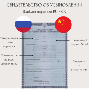 Перевод свидетельства об усыновлении на китайский